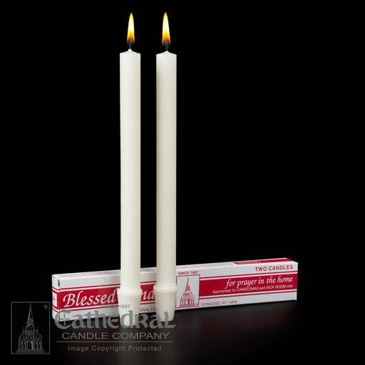 CANDLEMAS 25/32 INCH  X 10-1/4 INCH  SELF FITTING END - 51% BEESWAX