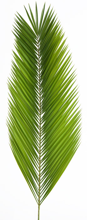 Palm Altar Décor - Date Palm